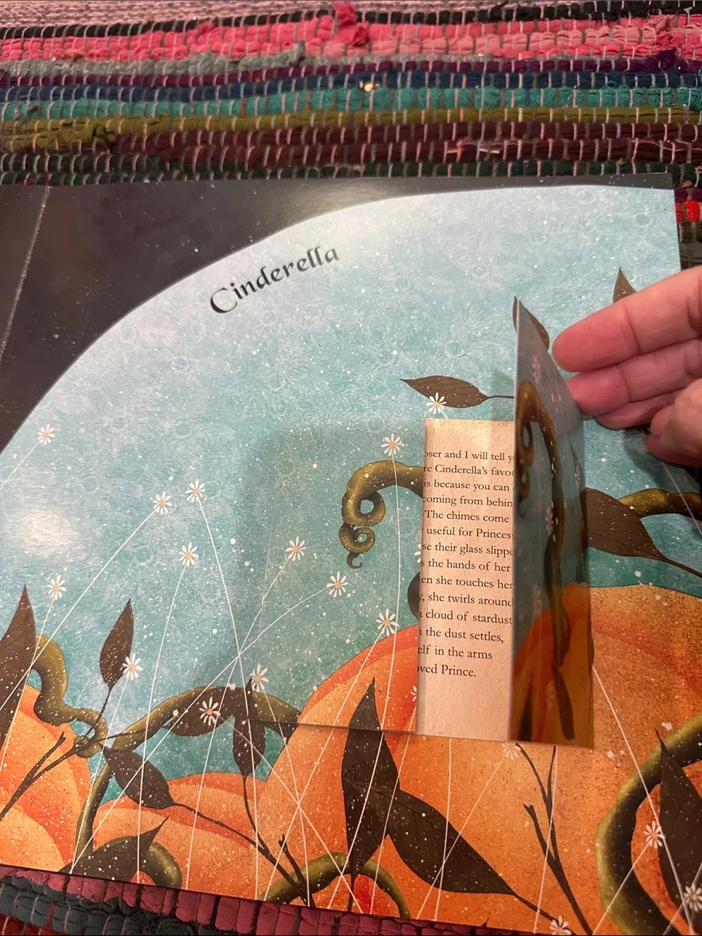 The Secret Life of Princesses Lift the Flap book